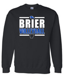 BRIER Volleyball - GILDAN Brand Black options