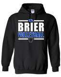 BRIER Volleyball - GILDAN Brand Black options