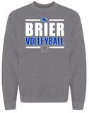 BRIER Volleyball - GILDAN Brand Graphite Grey options