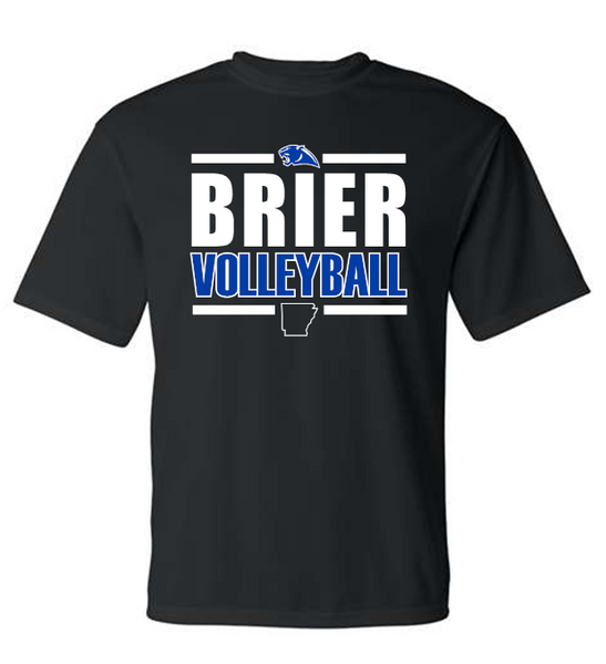 BRIER Volleyball - GILDAN Brand Black options