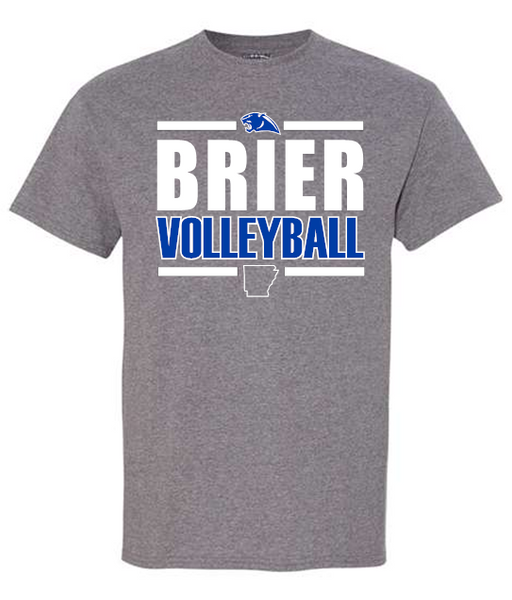 BRIER Volleyball - GILDAN Brand Graphite Grey options