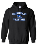 Greenbrier Jrs Volleyball Black options