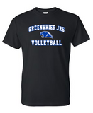 Greenbrier Jrs Volleyball Black options