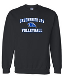 Greenbrier Jrs Volleyball Black options