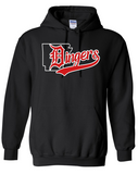 Dingers - Hoodie - YOUTH AND ADULT SIZES
