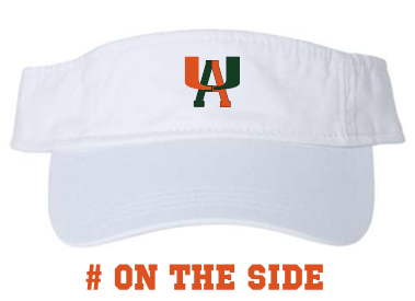 Hurricanes Visor with logo