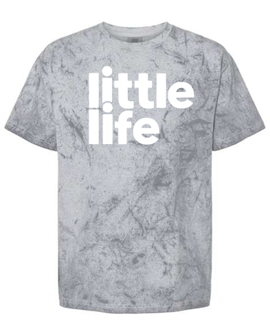 Little Life - Comfort Colors Colorblast t-shirts