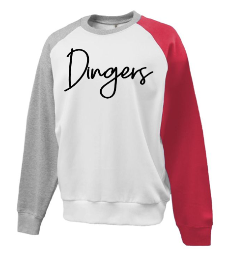 *NEW* Dingers - Colorblock Crewneck sweatshirt or hoodie