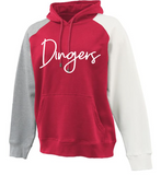 *NEW* Dingers - Colorblock Crewneck sweatshirt or hoodie